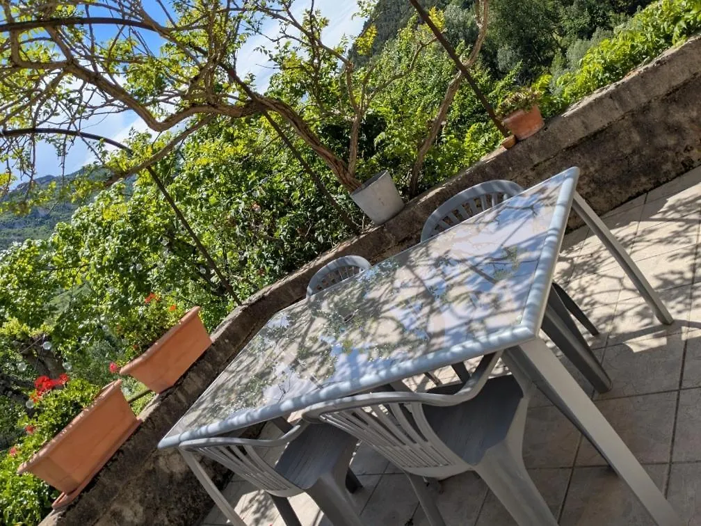 Vila Au Bord Du Tarn Vabre